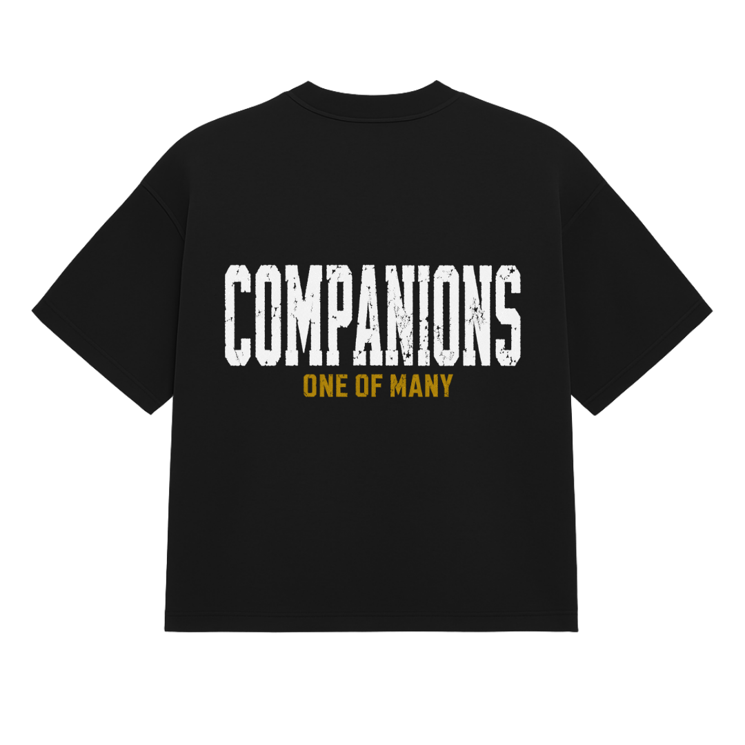 Companions One of Many Tee