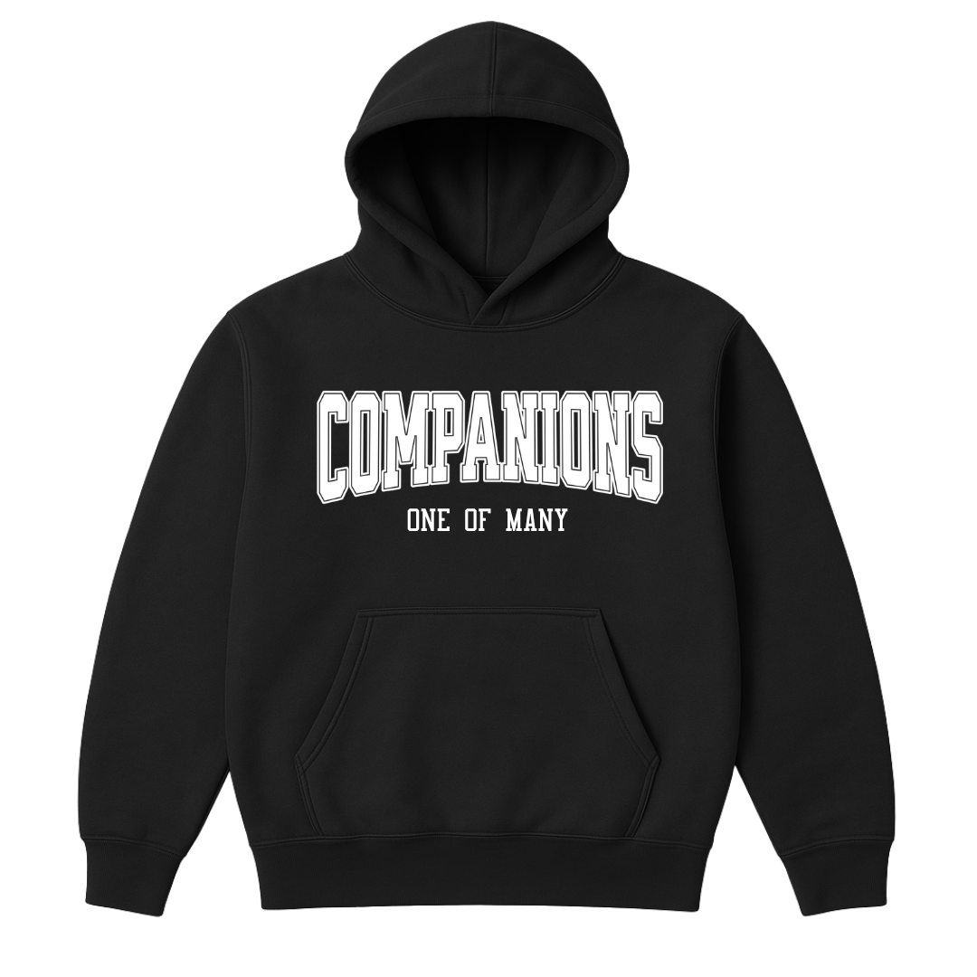 Companions One Of Many Hoodie