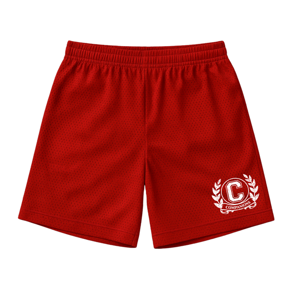 Companions Mesh Shorts