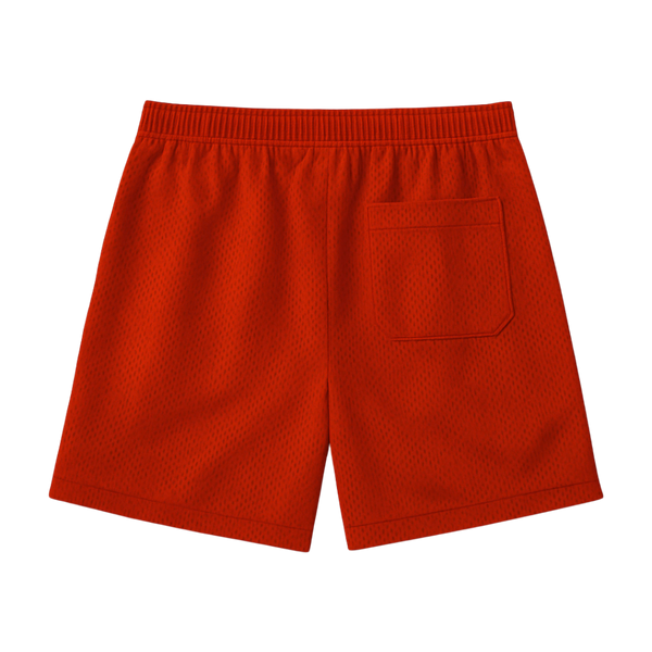 Companions Mesh Shorts